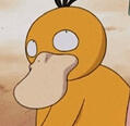 Psyduck Psyduck